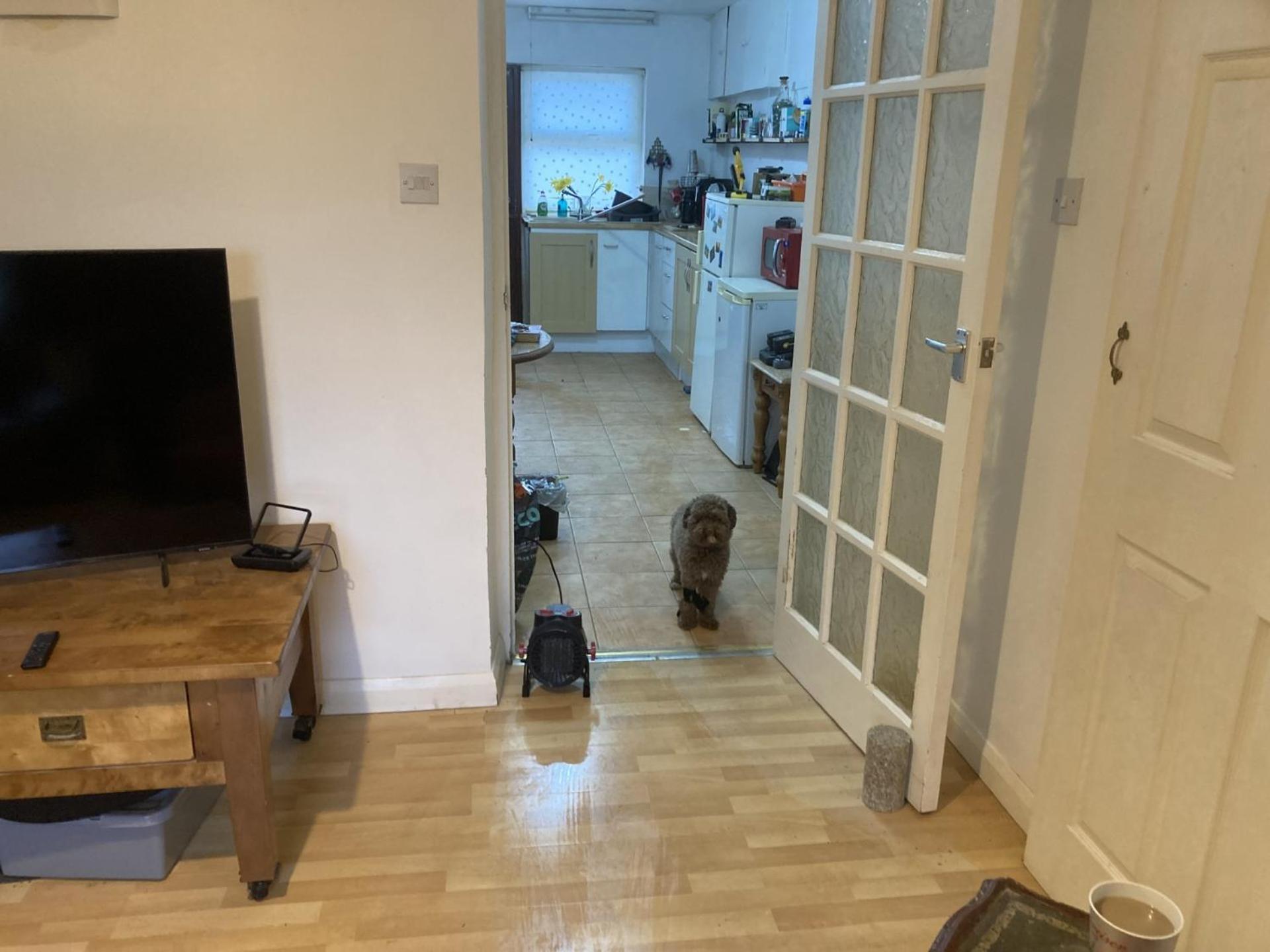Apartment Little Haven